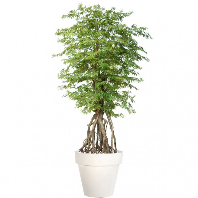 Planta semi-artificiala Ila, Maple Root Multicolor - 260 cm